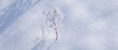 ​冬天下雪的好处 下雪的好处和坏处一年级