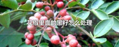 ​花椒里黑籽能做什么用 花椒黑籽有什么用