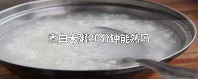 ​煮小米粥20分钟能熟吗视频讲解 煮小米粥20分钟能熟吗视频教程