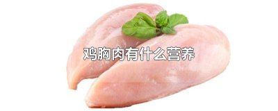 ​鸡胸肉有什么营养元素 鸡胸脯肉有什么营养