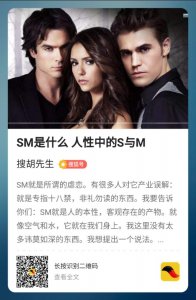 ​sm是什么意思_对它的正确理解