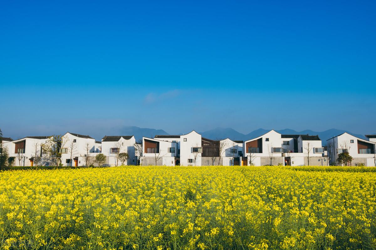 富阳有什么好玩的旅游景点(杭州富阳旅游景点有哪些景点)