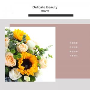 ​雏菊花代表什么爱情的意思（不同颜色的雏菊的花语寓意）