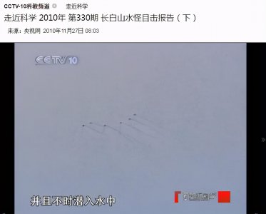 ​民间一度误认其为“水猴子”，央视多次辟谣，水獭到底是何方神圣