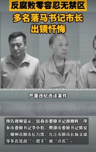 ​多名落马书记市长出镜忏悔