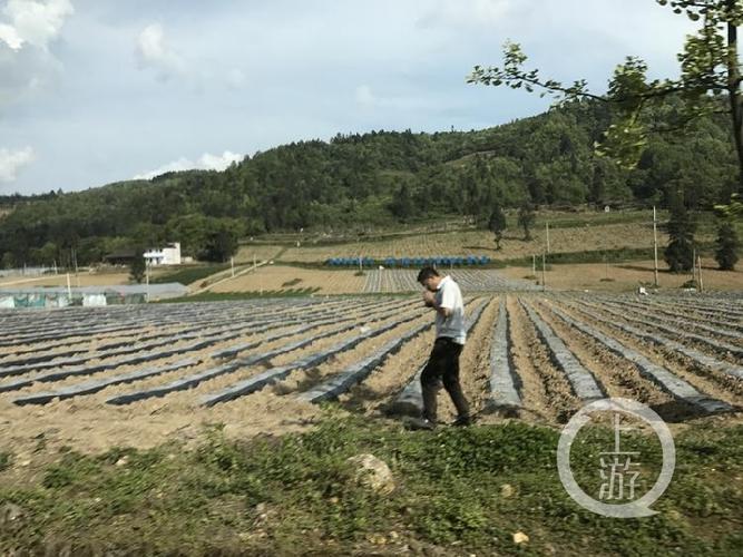 5、彭水县大龙乡下湾