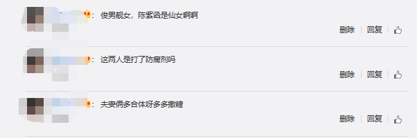 戴向宇一家三口照图片（陈紫函戴向宇夫妇合体亮相）