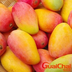 ​芒果是什么季节的水果有什特点？芒果有几种品种