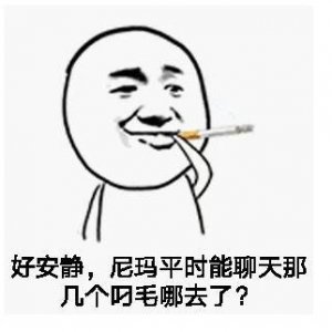 ​尼玛是什么意思啊（尼玛意思是什么）