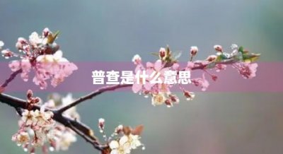 ​普查是什么意思(农村房屋普查是什么意思)