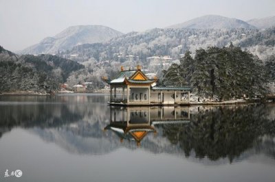 ​“庐山三石”：世间罕有美味，来到庐山不得不尝！