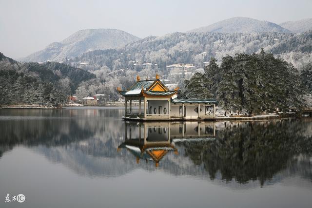 “庐山三石”：世间罕有美味，来到庐山不得不尝！