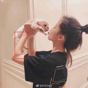 ​虎牙莉哥被曝出潜规则视频后，网友发现其中细节：这根本不是她！