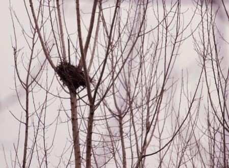 冲太岁是什么意思