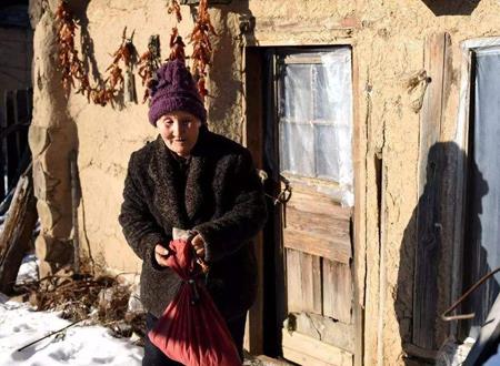 1941岁属什么生肖