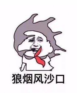 ​狼烟风沙口我在工地搬砖头我的将军啊搬砖版表情包