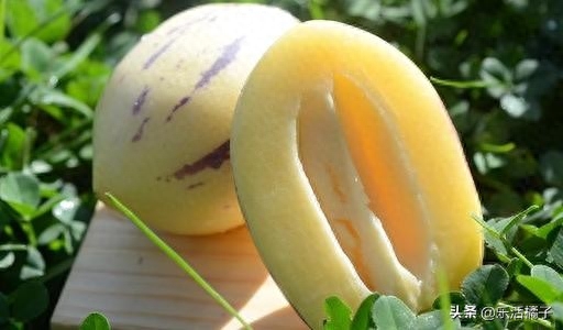 人参果只开花不结果怎么回事(人参果开花不结果是什么原因)