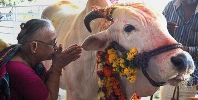 印度宗教众多，不吃猪肉牛肉，却“忽悠”游客吃这些！