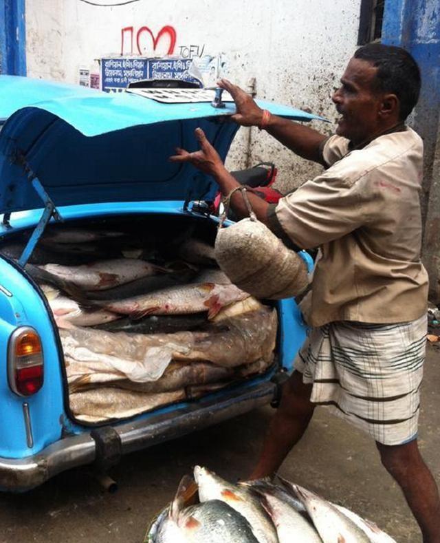 印度宗教众多，不吃猪肉牛肉，却“忽悠”游客吃这些！