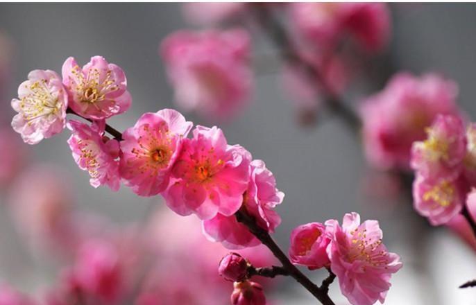 农村俗语:百年难遇闰九月,百年难逢岁交春,啥意思?