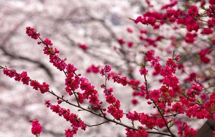 农村俗语:百年难遇闰九月,百年难逢岁交春,啥意思?