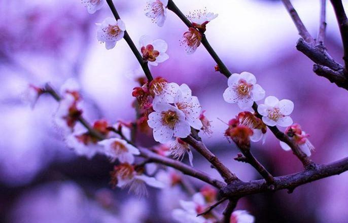 农村俗语:百年难遇闰九月,百年难逢岁交春,啥意思?