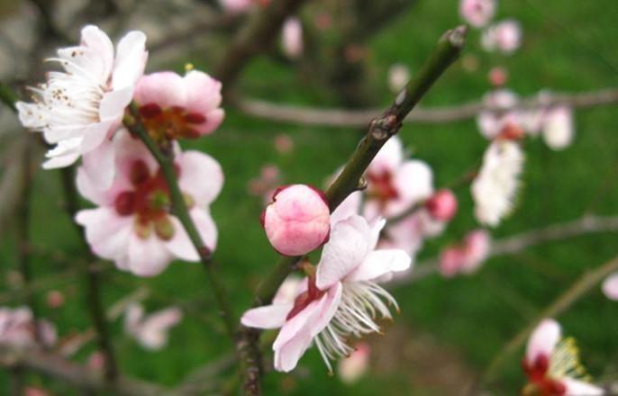 农村俗语:百年难遇闰九月,百年难逢岁交春,啥意思?