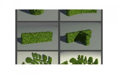 ​做梦梦见荷是什么意思