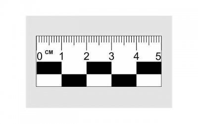 ​5个小动作促进夫妻更亲密