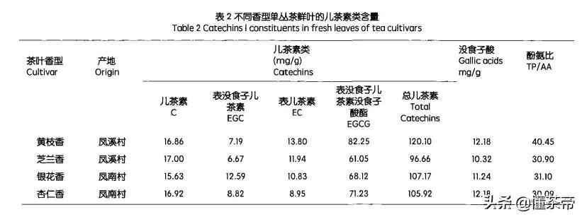单枞茶属于什么茶（一文了解单枞茶的茶叶类型）
