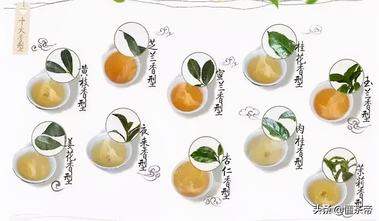 单枞茶属于什么茶（一文了解单枞茶的茶叶类型）