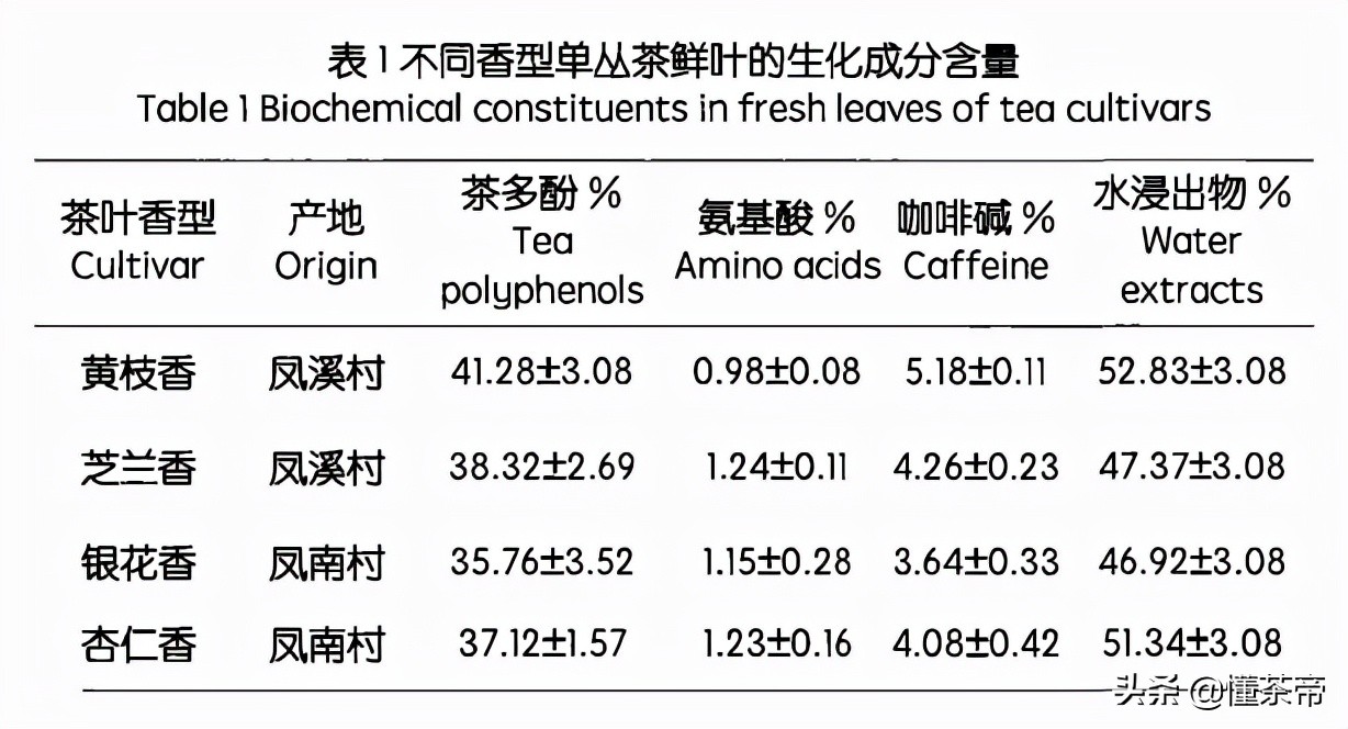 单枞茶属于什么茶（一文了解单枞茶的茶叶类型）