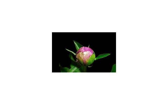 协议离婚的房产归属没公证有效吗 协议离婚的房产归属没公证有效吗