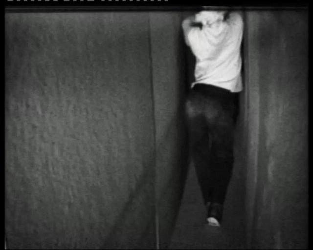 拉斐尔和米开朗基罗的艺术特点（米开朗琪罗大卫里这个姿势）(6)