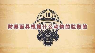 ​防毒面具是根据什么动物的脸部研制 防毒面具是根据什么动物的脸部制作的视频