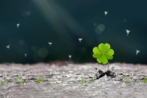 尝尽人间疾苦下一句是什么