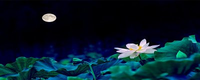 ​看不到月亮是什么意思