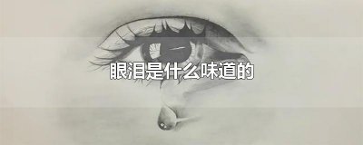 ​眼泪是什么味道的