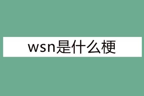 wsn是什么意思网络用语(wsn的意思)