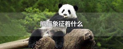 ​熊猫象征着什么
