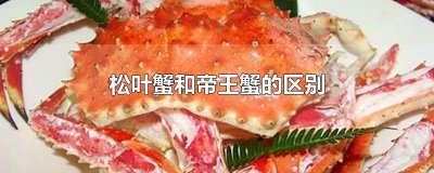 ​松叶蟹和帝王蟹的区别