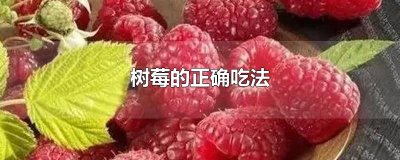 ​树莓的正确吃法