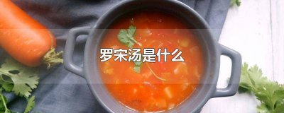 ​罗宋汤颜色淡 罗宋汤是什么材料