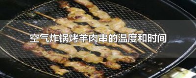 ​空气炸锅烤羊肉串的温度和时间