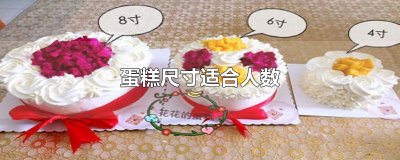 ​蛋糕尺寸适合人数