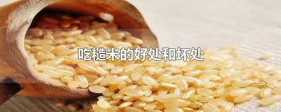 ​吃糙米的好处和坏处