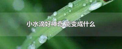 ​小水滴好神奇,能变成什么