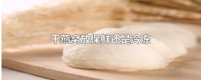 ​干燕窝放保鲜还是冷冻