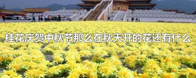 ​桂花庆贺中秋节那么在秋天开的花还有什么