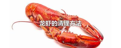 ​龙虾的清理方法